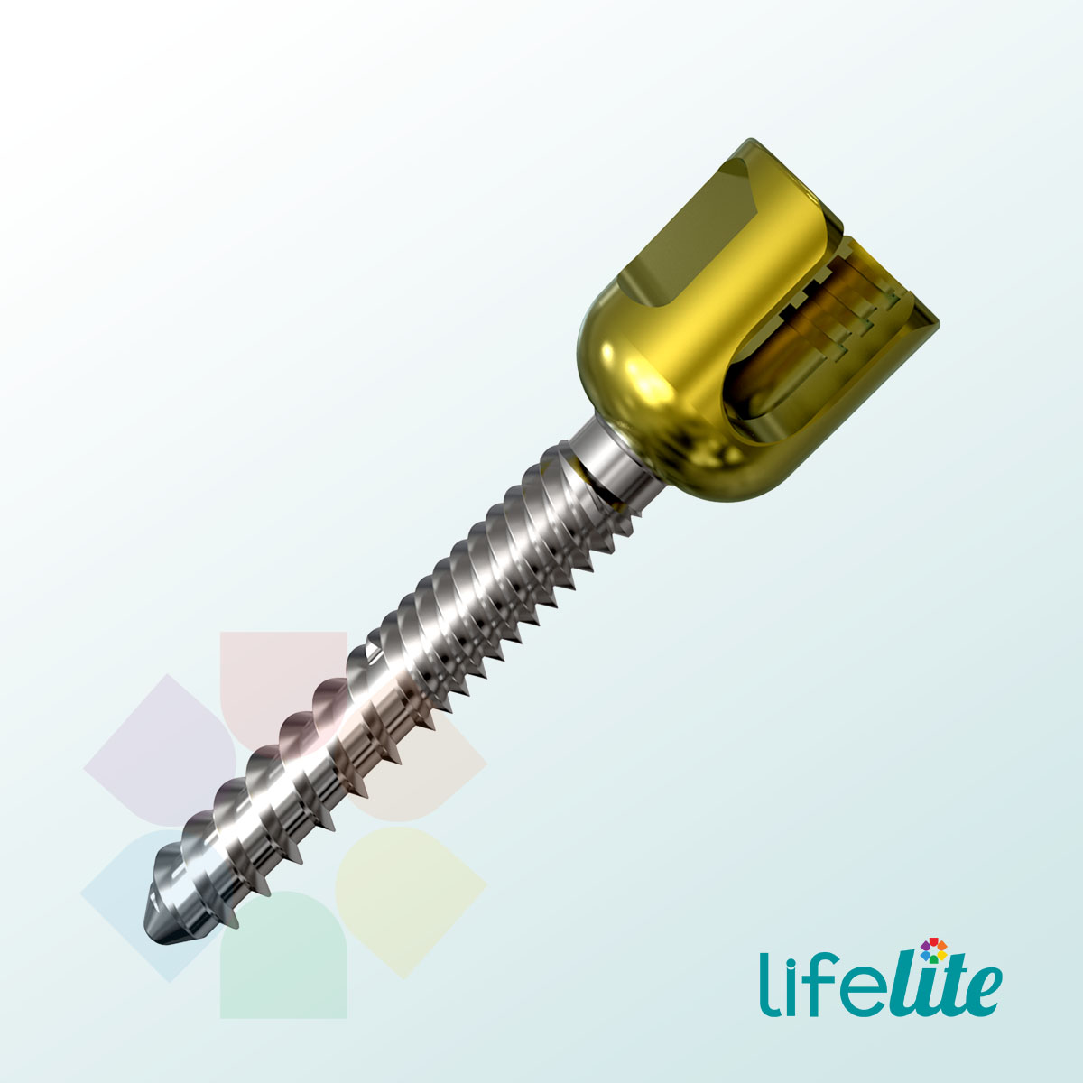 Monolock Osteo Polyaxial Screw ST