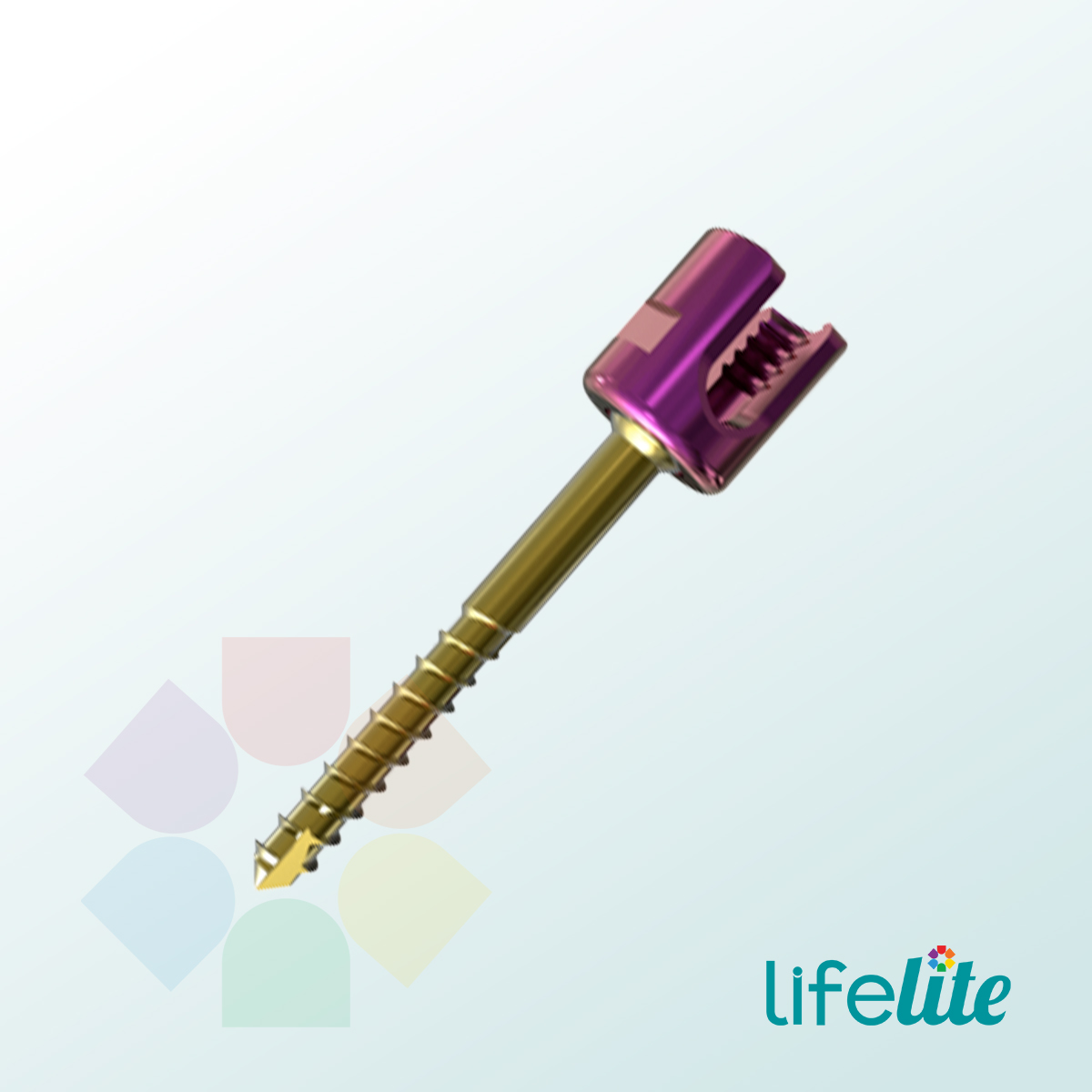 Pocer Shank Screw
